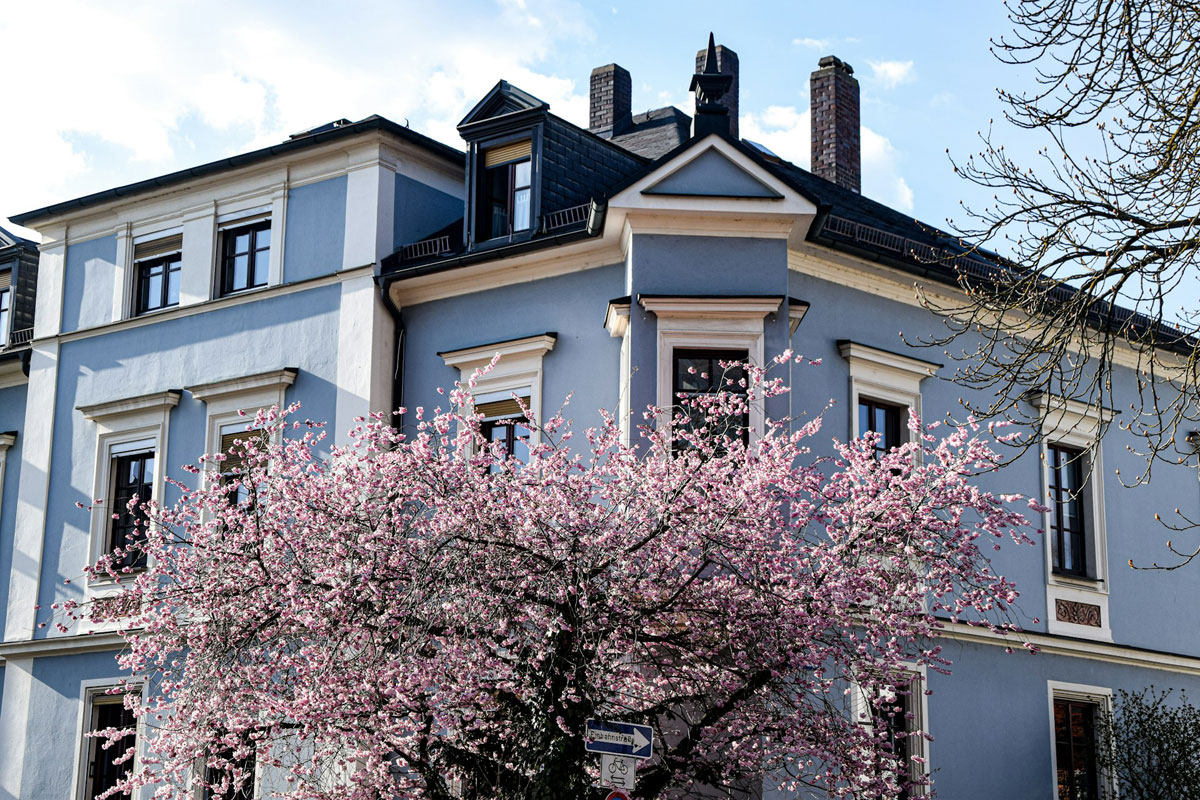 Mehrfamilienhaus selbst nutzen oder vermieten